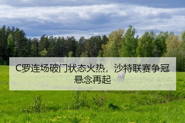 luo-lian-chang-po-men-zhuang-tai-huo-re-sha-te-lian-sai-zheng-guan-xuan-nian-zai-qi-2-781.jpg