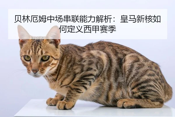贝林厄姆中场串联能力解析：皇马新核如何定义西甲赛季